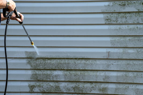  Spring Lake Heights, NJ Siding Installation Pros