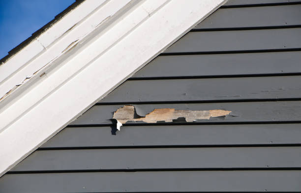 Best Residential Vinyl Siding Installation  in Spring Lake Heights, NJ